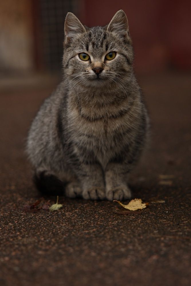 Photograph by Микрокосмос Владимир