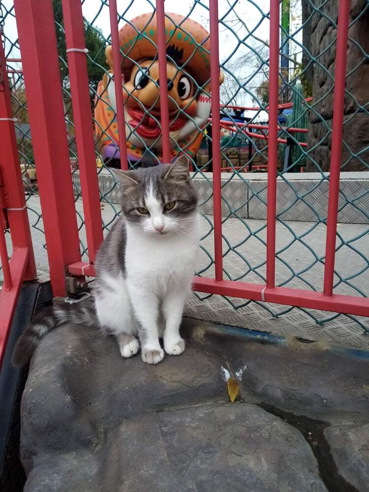 Photograph by Васильева Львовна