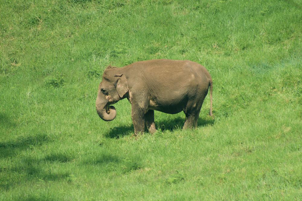 Photograph by Muhammed Junaid A P