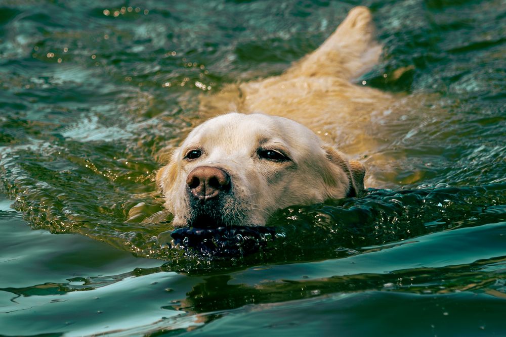 Photograph by Siarhei Saladukhin