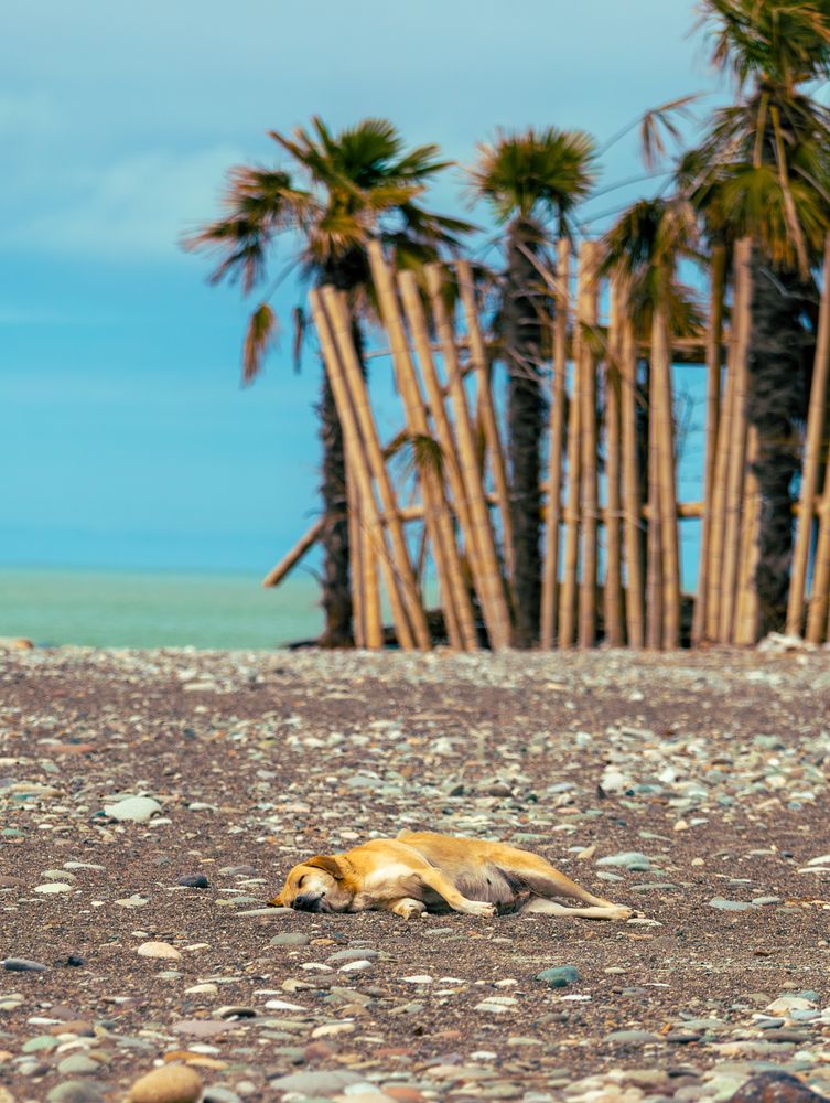 Photograph by Siarhei Saladukhin