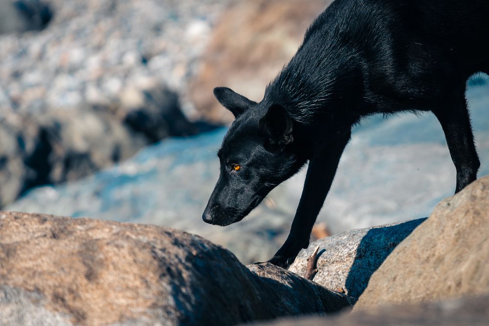 Photograph by Siarhei Saladukhin