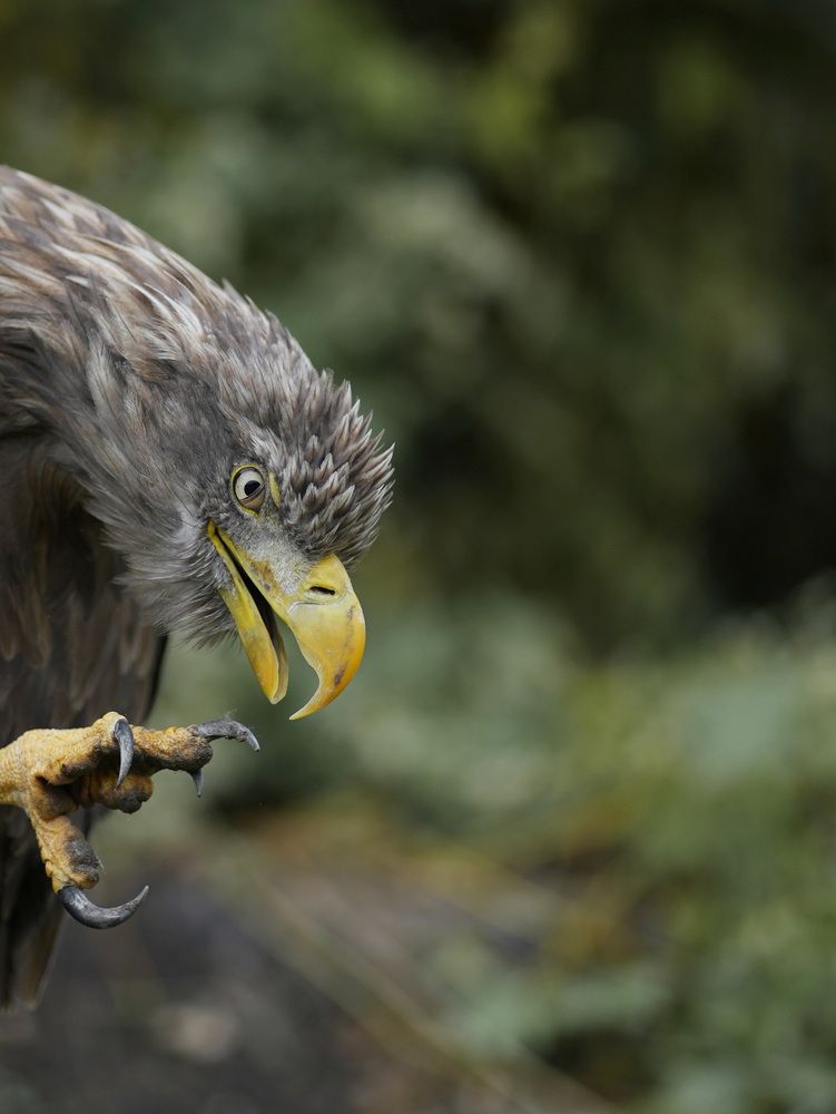 Photograph by Ирина Ксензова