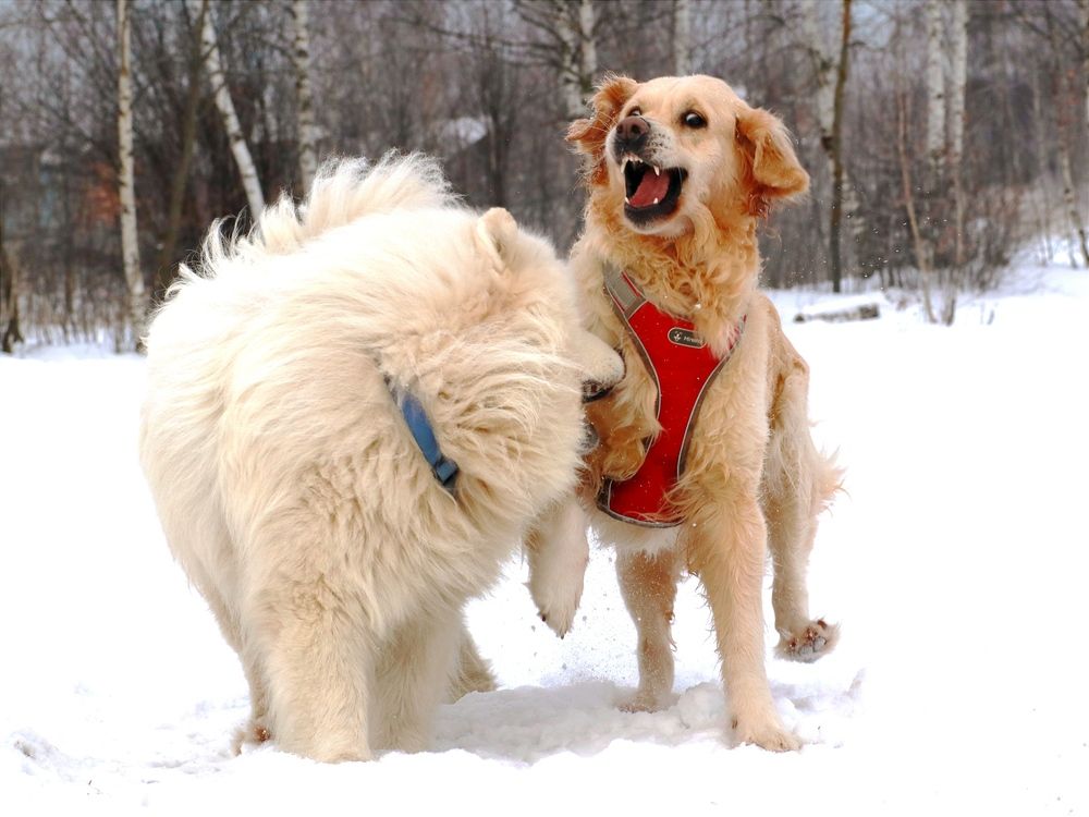 Photograph by Светлана Богомолова