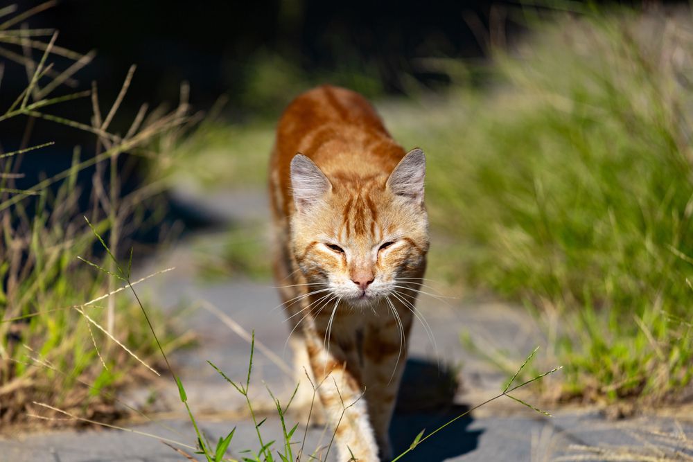 Photograph by Siarhei Saladukhin