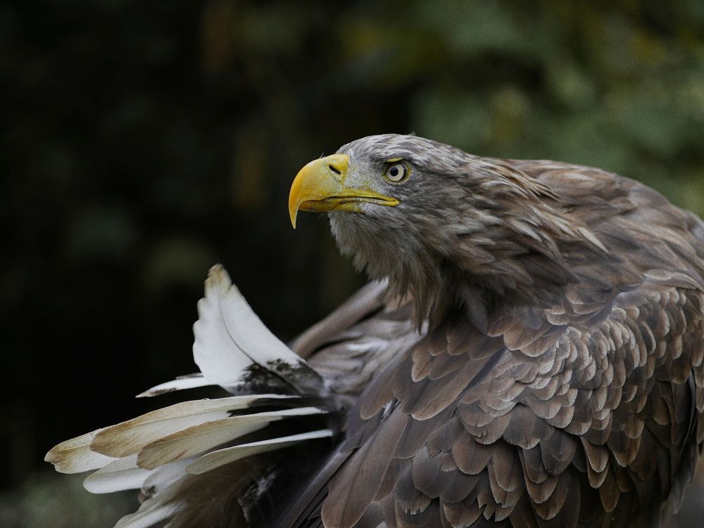 Photograph by Ирина Ксензова