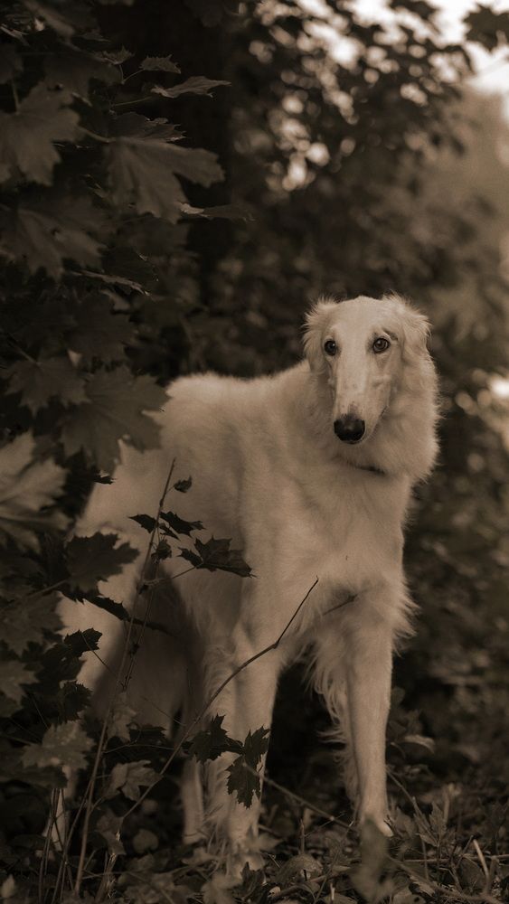 Photograph by Ирина Ксензова