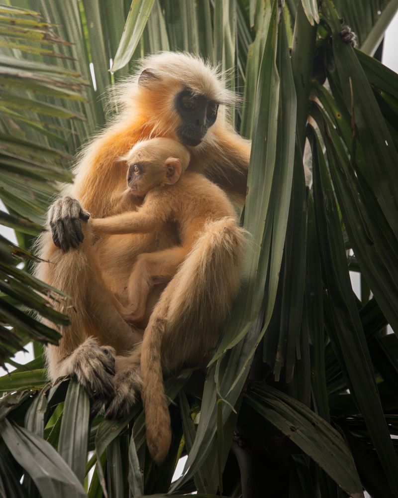 Фотография автора Abhisek Bagaria