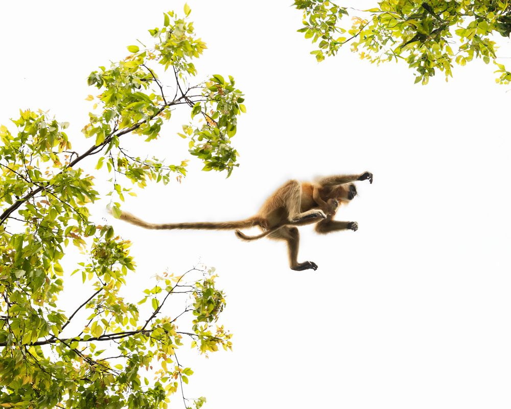 Photograph by Abhisek Bagaria