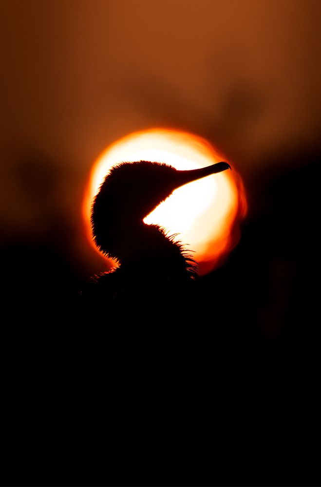 Photograph by Abhisek Bagaria