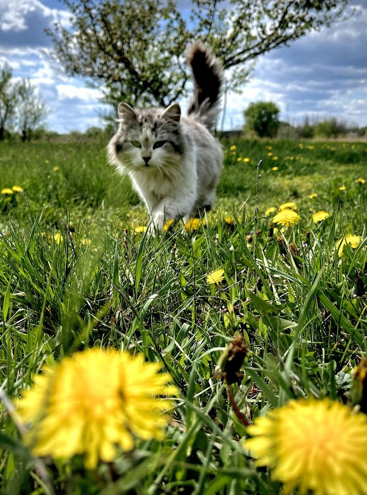 Photograph by Марина Козлова