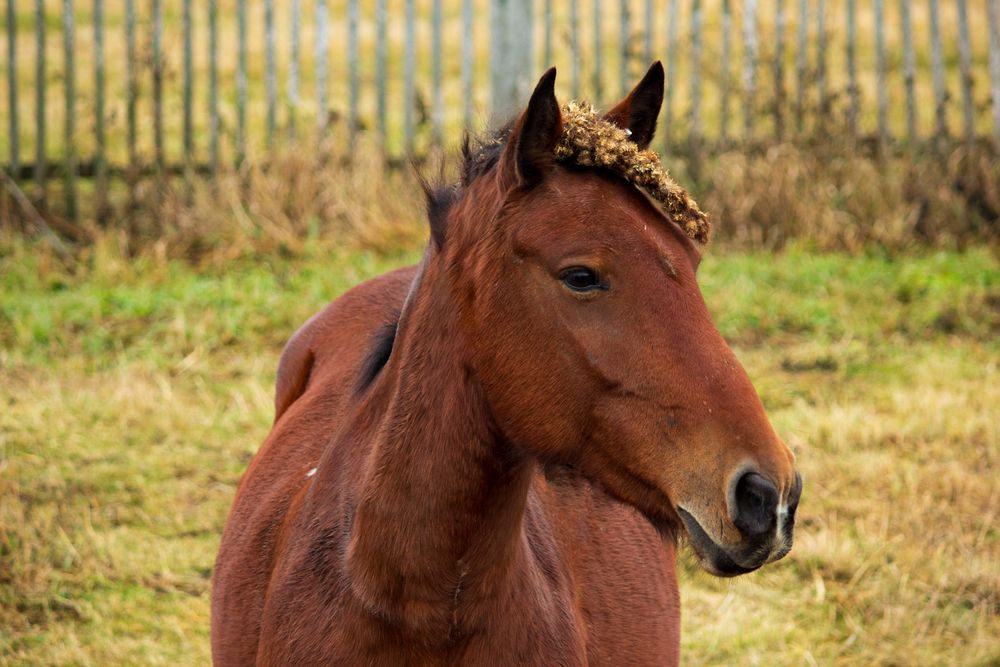 Photograph by Angelina