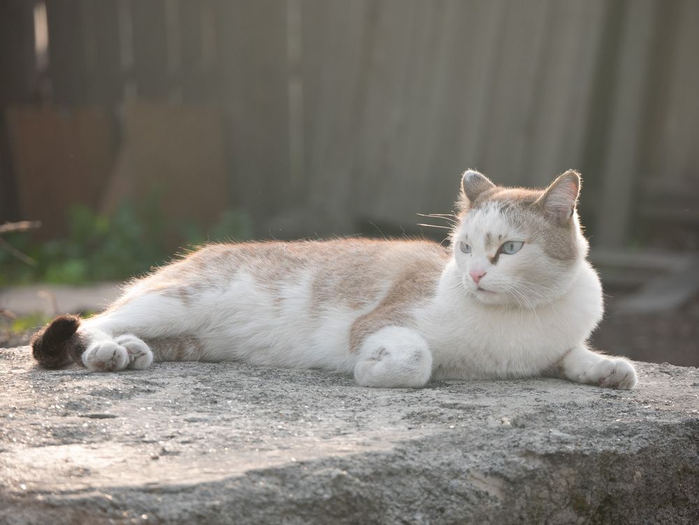 Photograph by Angelina