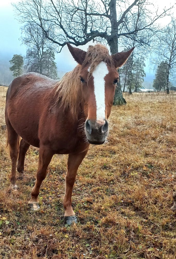 Photograph by Назмутдинова Сауия