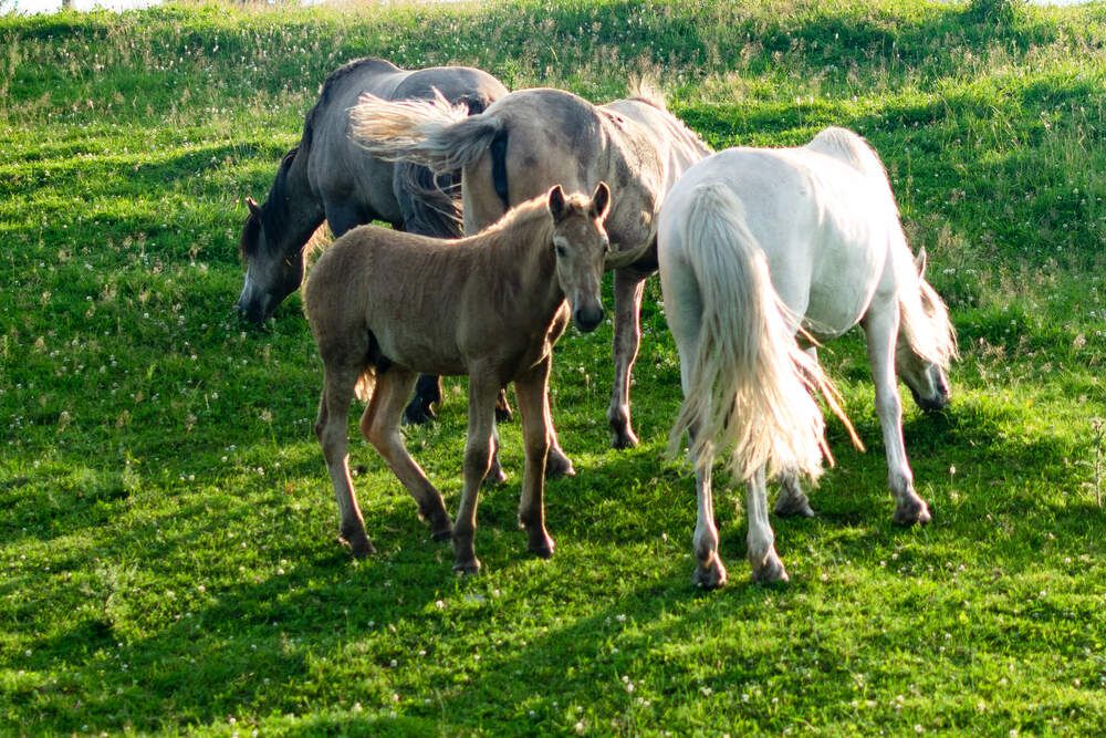 Photograph by Назмутдинова Сауия