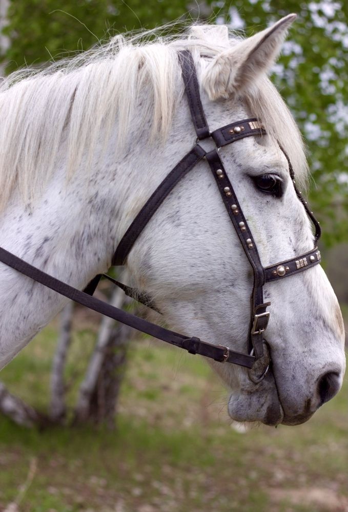 Фотография автора Ираида Гайфуллина