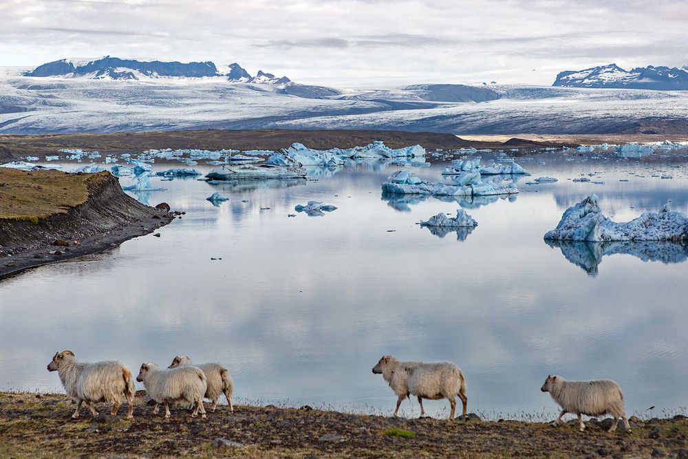 Photograph by Vladimir Ostapenko