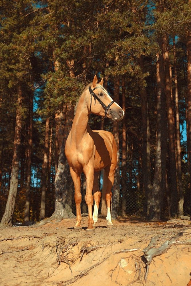 Photograph by Елена Казакова