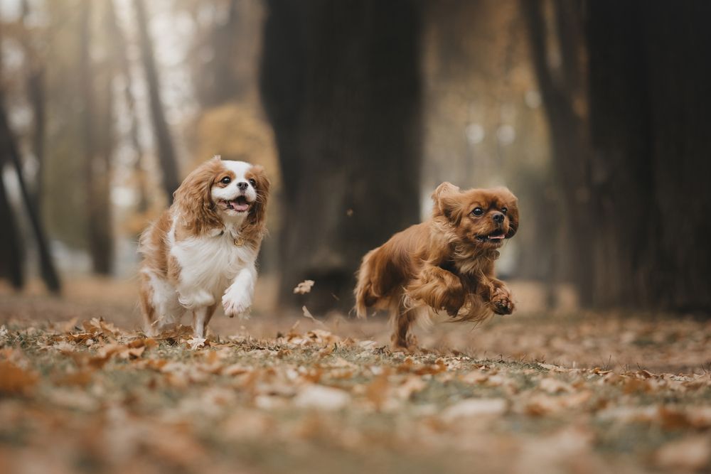 Photograph by Александра Пугачёва