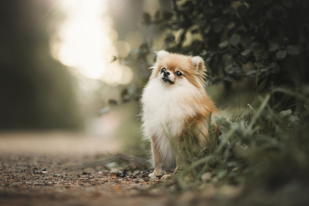 Photograph by Александра Пугачёва