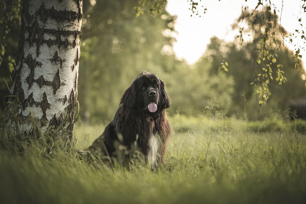 Photograph by Александра Пугачёва