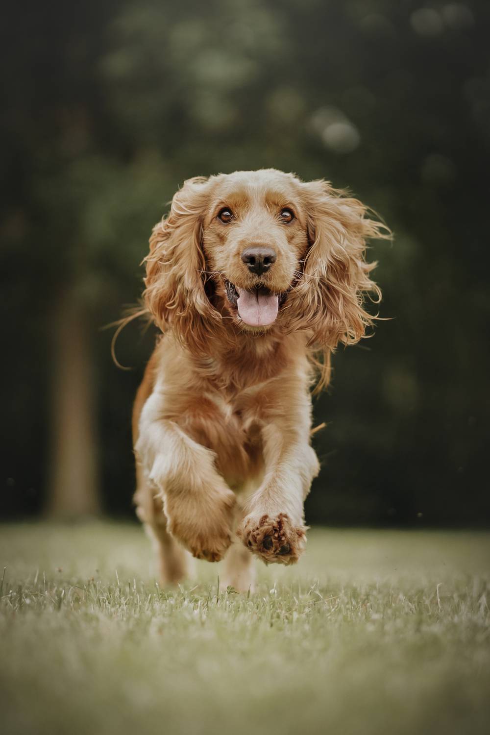 Фотография #12783586