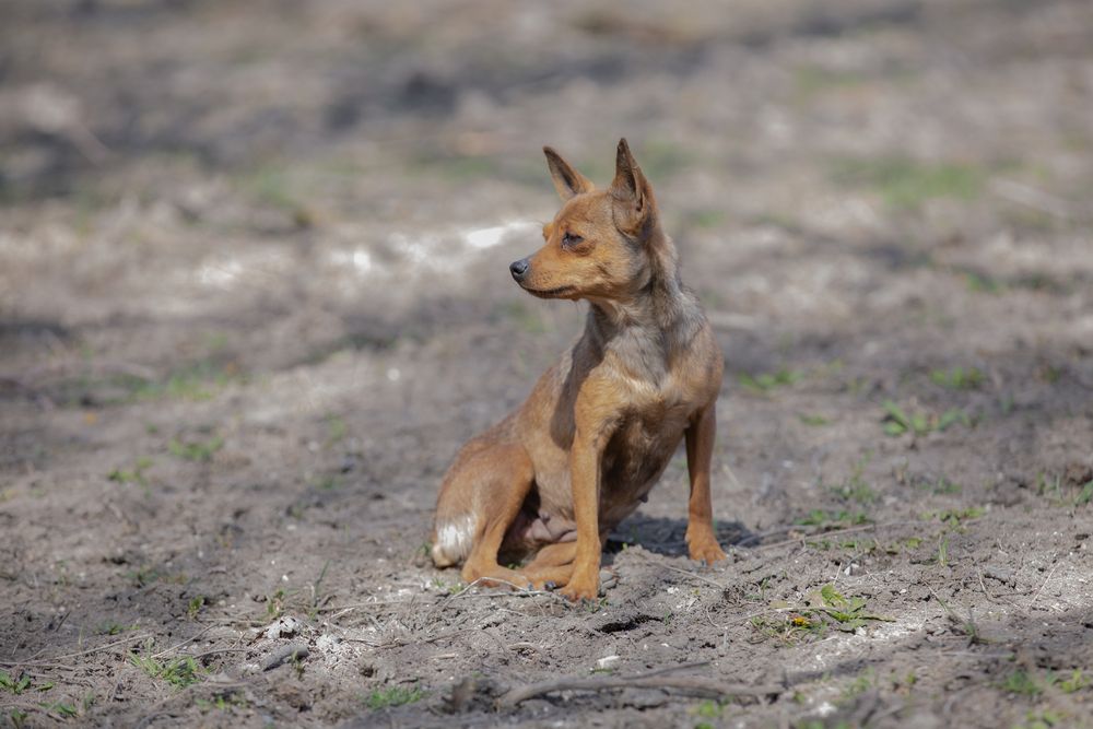 Фотография автора Оксана Антощук