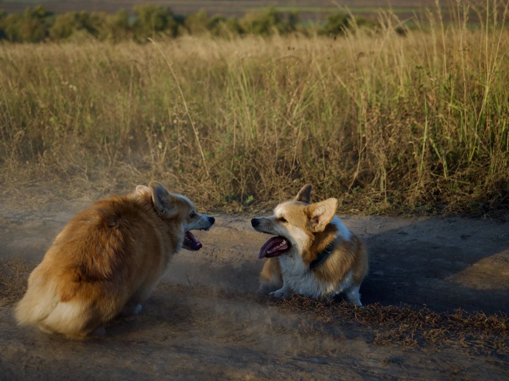 Photograph by Kiryl Brouchanka