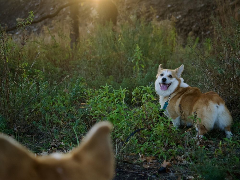 Photograph by Kiryl Brouchanka