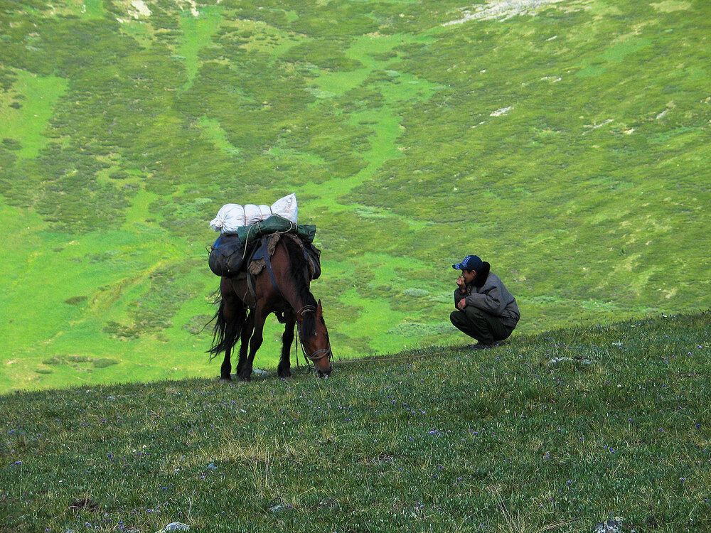 Photograph by Дмитрий Ткаченко