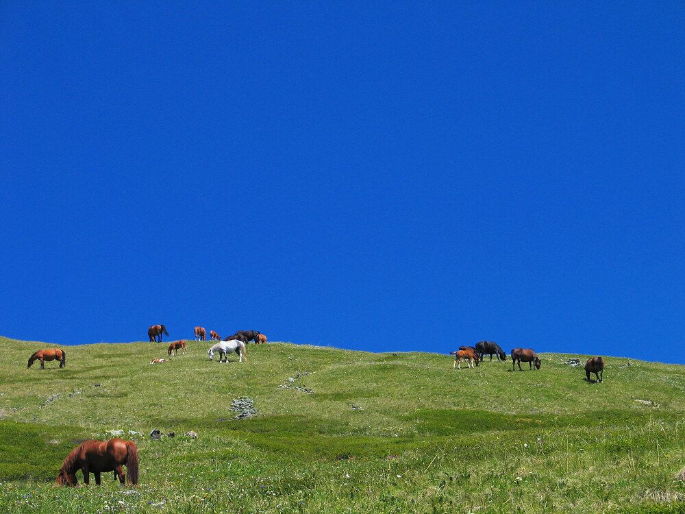 Photograph by Дмитрий Ткаченко
