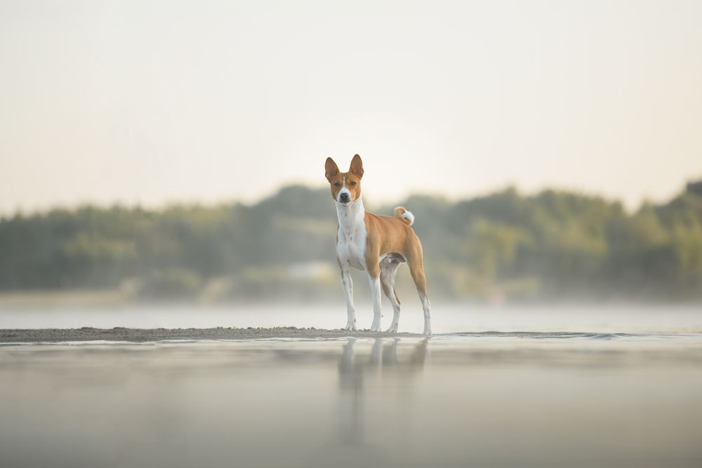 Фотография автора Алена Ковалёва