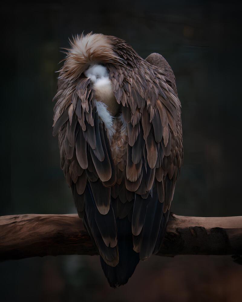 Photograph by Данил Шауба