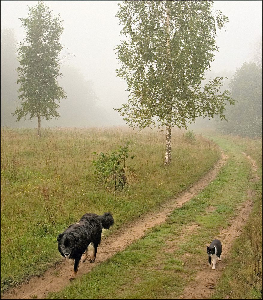 Photograph by Юрий Спасенников