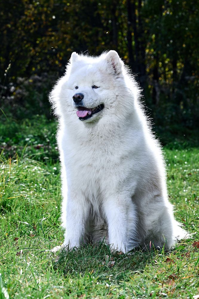 Photograph by Андрей Шаленков