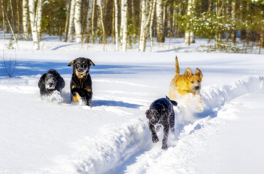 Photograph by Margarita