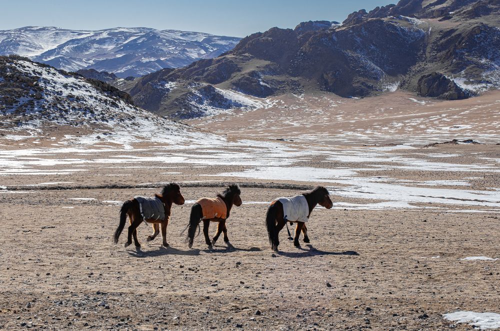 Фотография автора Елена Павлова