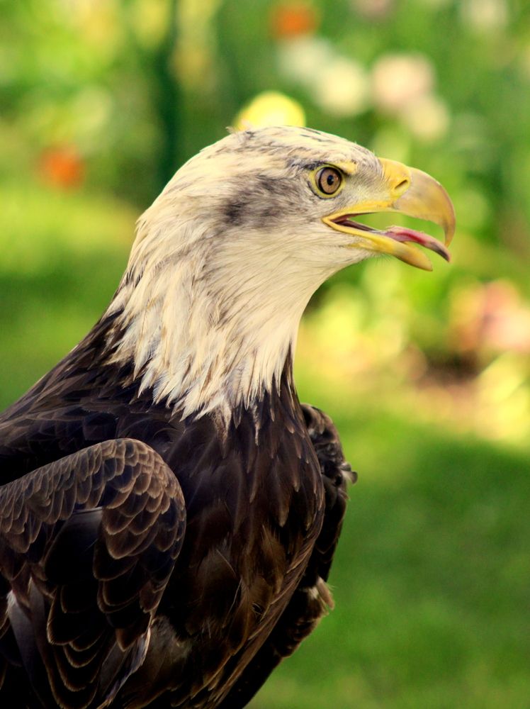 Photograph by Алексей Макаров