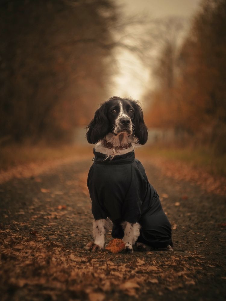 Photograph by Лапшина Владлена