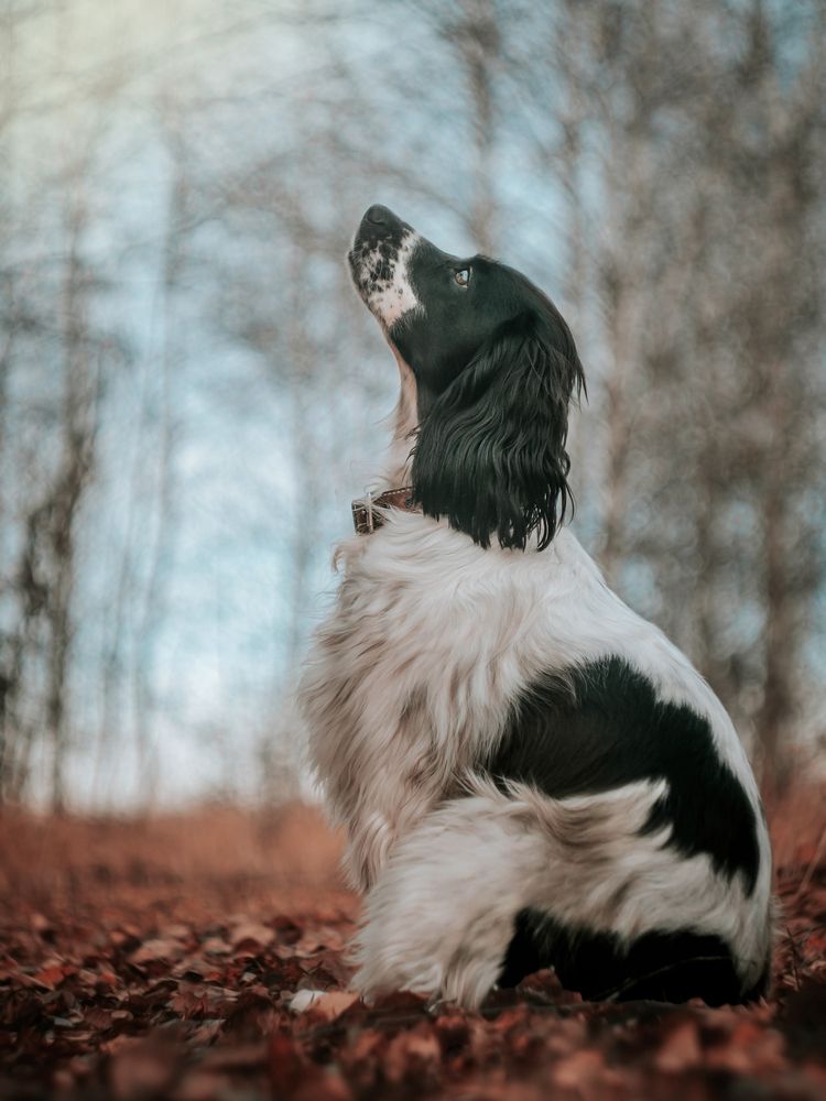 Photograph by Лапшина Владлена