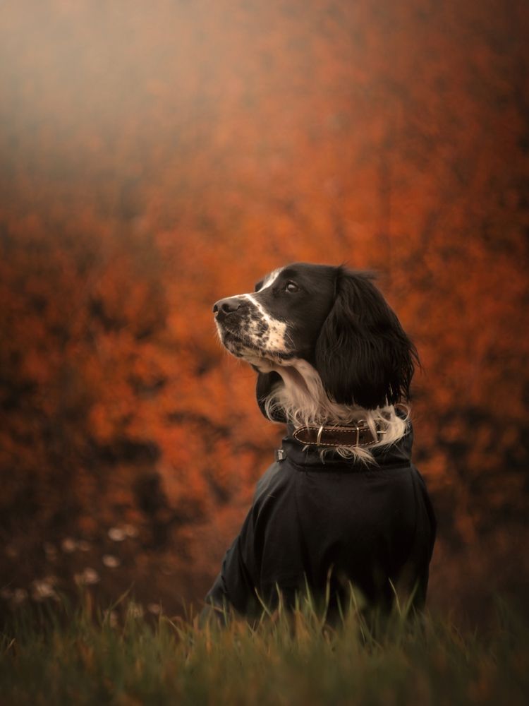 Photograph by Лапшина Владлена