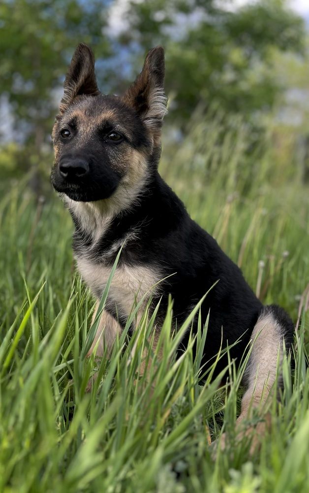 Photograph by Марина Козлова