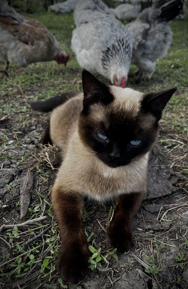 Photograph by Марина Козлова