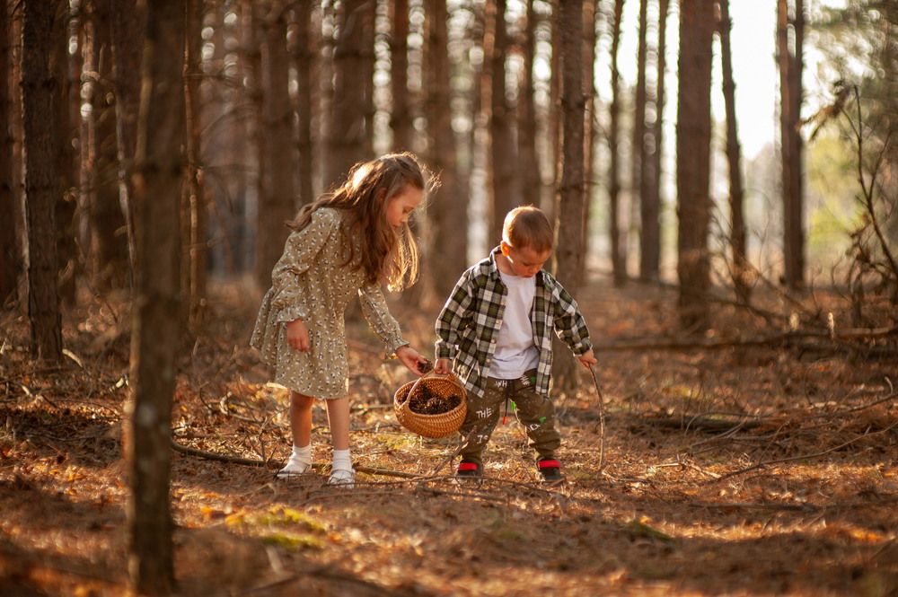 Photograph by Андреев Виктор