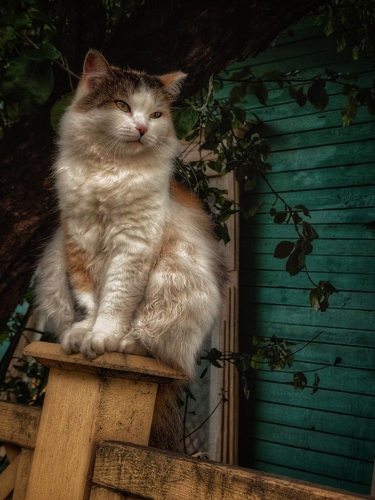 Photograph by Юлия Носкова