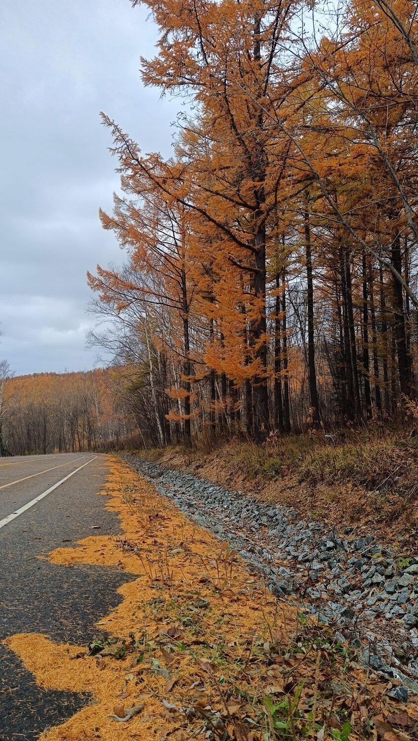 Photo #12783703