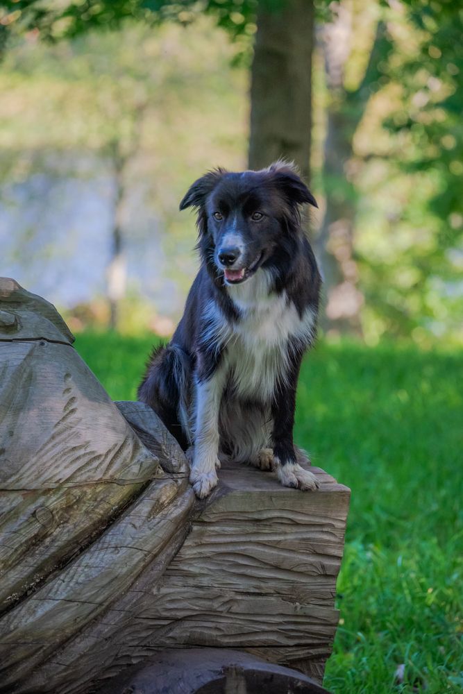 Photograph by Сергей Зимин