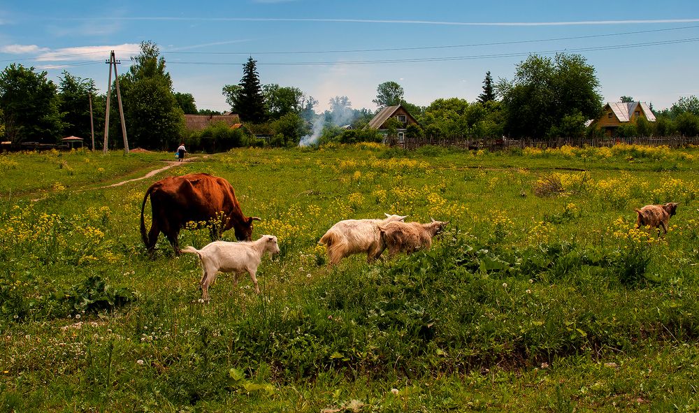 Photograph by Алексей Патлах