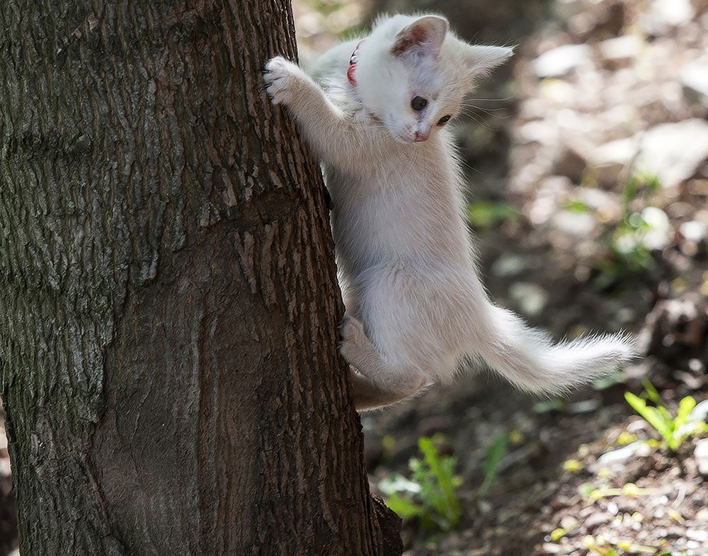 Photograph by Алексей Патлах