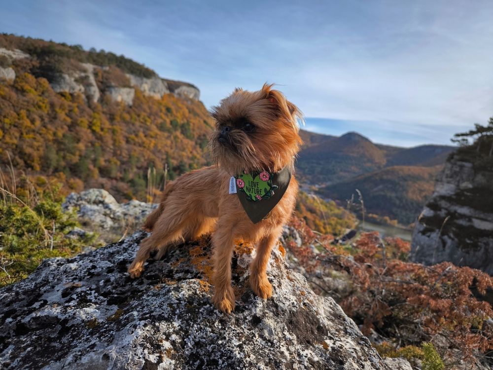 Photograph by Ирина Корх